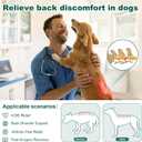 Dog Back Brace for IVDD, Arthritis, Slipped and Herniated Discs Provides Back Support and Pain Relief, Stabilizes Spine for Surgical Recovery and Mobility, Dogs Back Disease Prevention(Black,XL)