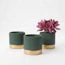 3-Pcs 4 Inch Cement Planters Set - Vintage Ribbed Flower Pots with Gold Rim and Drainage Holes, Modern Ceramic Succulent Pots, Small Plant Containers for Home, Office, Desk Decor, Green