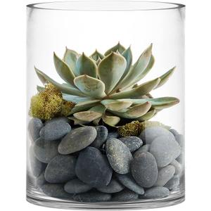 CYS Excel Large Clear Glass Cylinder Vase (H:12" D:10") Flower Vase Centerpieces Hurricane Floating Pillar Candle Holder Terrarium Planter