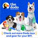 The Dodo Green Dog Harness, Size Small; Easy Step-in Harness for Dogs; Breathable Mesh Fabric; Snap-Together, Pinch Release Buckle, Ring for Leash Attachment; Everyday Pet Apparel