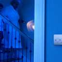Kidde Carbon Monoxide Detector, Battery Powered CO Alarm with LEDs, Test-Reset Button, Low Battery Indicator, Portable