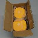 Yes4All Neoprene Coated Dumbbell Hand Weight Sets of 2 - Multiple Weight Options with 15 Colors, Anti-roll, Anti-Slip, Hexagon Shape (8 lbs (Pair), G. Orange - 8lbs - Pair)