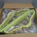 HOUSE DAY Vibrant Green Velvet Hangers 60 Pack, Non Slip Clothes Felt Hanger Heavy Duty for Coat, Premium Slim Space Saving Suit Hangers for Closet Organizer, 360 Rotating Silver Hook