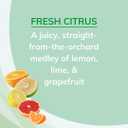 Citrus Magic Odor Absorbing Solid Air Freshener, Fresh Citrus, 8-Ounce, Pack of 6