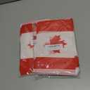 2 x WXTWK Canada Flags Canadian Small Mini Pennant String Banner Flag Festival Decorations(50 Feet 38 Flags)