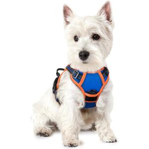 rabbitgoo Dog Harness No Pull with 2 Leash Clips, Adjustable Soft Padded, Reflective Oxford No Choke Pet Vest with Easy Control Handle for Puppy, Blue & Orange, XS
