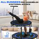 K KENSONE 40/48" Foldable Rebounder Trampoline for Adults with Bungee, 450/550 LBS Quiet Indoor Mini Trampoline for Adults Fitness, Gym Workout, Home Exercise