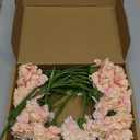 Light Pink Artificial Carnation Silk Flowers 15pcs Fake Carnation Pink Artifcial Flowers with Stems for Home Decor Wedding Bridal Bouquet Anniversary Birthday Floral Arrangements (Light Pink