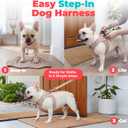 Best Pet Supplies Voyager Step-in Air Harness - All Weather Mesh, Reflective, No Pull Harness for Dogs, Cats - Secure with Hook & Loop Fastener, Buckle, Double D-Rings - Khaki, M