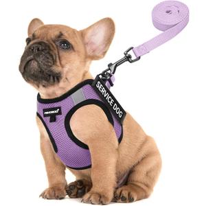 FAYOGOO Service Dog Vest for Small Breed - Lightweight Dog Harness with 6PCS Removable Patches - Puppy Harness and Leash Set for Walking,Training (Purple, Medium)