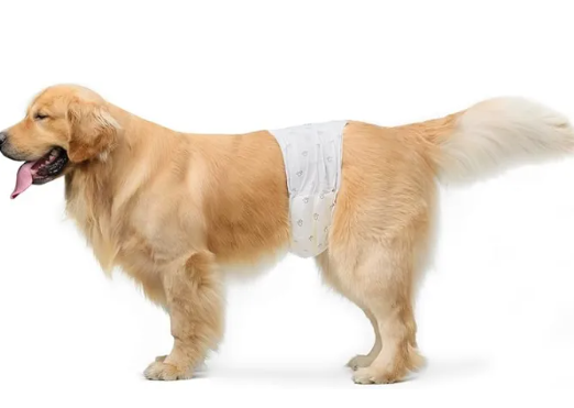 Basics Male Dog Diapers, 30 Count, Small, Ultra Absorbent Wrap with Secure Fit, Leakproof and Comfortable