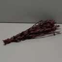 Real Red Eucalyptus Stems Decor 20PCS 17" Dried Willow Eucalyptus Plant Preserved Stems for Home Vase Filler Wedding Flowers Fall Arrangement Decorations