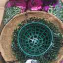 2 Set Artificial Outdoor Petunias Flowers with Hanging Baskets, 24 Pcs UV Resistant Faux Petunias Flowers with Hanging Planter for Front Door Porch Spring Outside Decor (2, RoseRed,RedViolet)