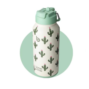 BOTTLE BOTTLE 32oz Insulated Water Bottle Stainless Steel Sport Water Bottle with Straw Dualuse Lid Design for Gym with Pill Box (Sweet Oasis)