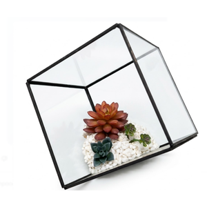 Decor Bambeco Glass/Metal Square Terrarium with Succulents 