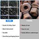 M6 Metric Grade8.8 Carbon Steel Hex Screw, Nut & Spring Washer Assortment Kit  219Piece in Organized Case