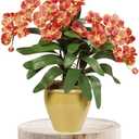 UNIE Mini Wooden Stool Round Garden Flower Display Stand Decorative Short Stool for Indoor Outdoor Office Dining Room