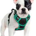 rabbitgoo Dog Harness No Pull with 2 Leash Clips, Adjustable Soft Padded, Reflective Oxford No Choke Pet Vest with Easy Control Handle for Small Dogs, Black & Turquoise, S