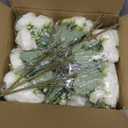 12 Bundles Peonies Artificial White Flowers Bouquet, Lifelike Silk Fake Peonies with Stems for Home Table Centerpieces, Wedding, Party & DIY Bridal Floral Arrangements (White)