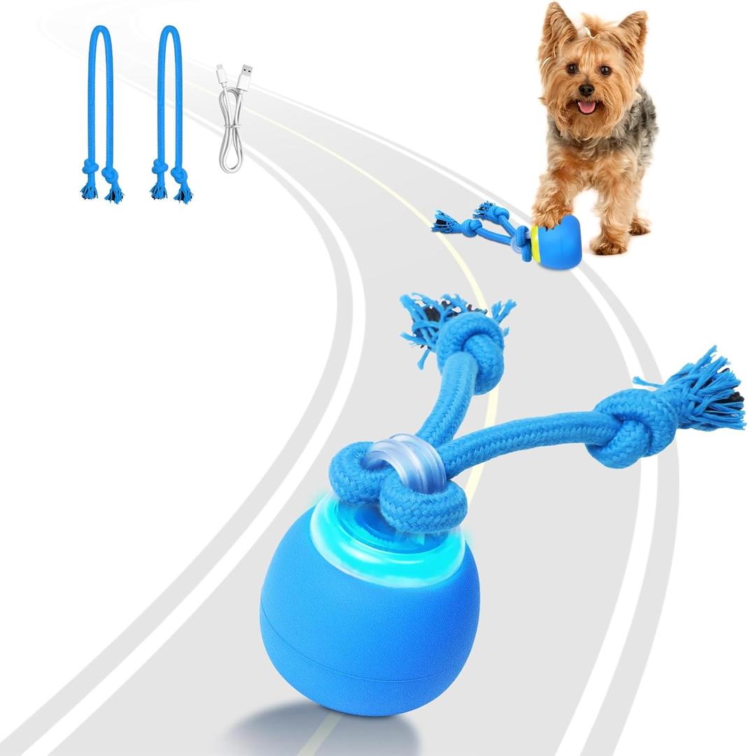 Interactive Dog Toys, Moving Dog Ball with Touch Activated, Active Rolling Ball for Puppy and Medium Dogs, Squeaky, USB Rechargeable (Blue)