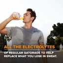 Gatorade Thirst Quencher Zero Sugar Sports Drink, Glacier Freeze, 12oz Bottles, 12 Pack, Electrolytes for Rehydration