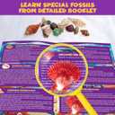 PIBEX Ocean Fossil Dig Kit, Dig up 20+ Real Shells & Seasnails, STEM Educational Activity Set Sea Creatures Excavation Toy for Kids, Marine Biology Geology Science Kit, Gift for Boys and Girls Age 6+