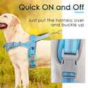ADVENTUREMORE Small Dog No Pull Harness with QR Code Tag, Adjustable Reflective Vest, Escape Proof with Front Clip Handle for Training Walking - Light Blue