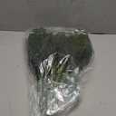 YXZZWL 16 Pcs Christmas Norfolk Pine Branches, 18 Inch Real Touch Artificial Norfolk Pine Branch Faux Cedar Pine Stem Fake Greenery Picks for Vase DIY Garland Wreath Home Decoration