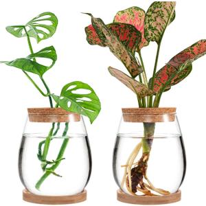 Biggun Plants Propagation Station - 2Pcs Desktop Plant Terrarium Glass Hydroponic Vases, Water Plant Jars, Gardening Gifts for Women Mom Plant Lovers (Water Drop Shape, Separated Tray Style)