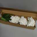 Waipfaru 21" Real Touch White Hydrangea Artificial Flowers with Long Stem & Leaves, Full Latex Faux Hydrangea Flowers for Home Decor Party Floral Arrangements Wedding Bouquets Centerpieces, 3Pcs