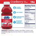 Ocean Spray Cranberry Cocktail Juice Drink, (Pack of 6) 10 Ounce, 60 Fl Oz (EXP 12/20/26)
