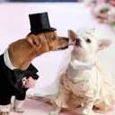 Elegant little tail Dog Collar with Bow - White Adjustable Dog Collar Bow Cotton Durable Bowtie Collar Gift Pet Dog Collar for Large Dogs (Large (Pack of 1))