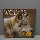 TF Publishing 2026 Wolves Wall Calendar - Large Grids for Appointments and Scheduling - Vertical Monthly Wall Calendar 2026 with Premium Gloss Paper for Home and Office Organization - 12in x 12in