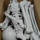 Wocst 5.4Ft/165cm Halloween Skeleton Full Body Life Size Human Bones with Movable Joints for Indoor Outdoor Halloween Props Decorations