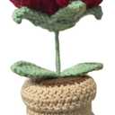 2 x Friendship Gifts for Women - Best Friend Birthday Gifts for Women - Handmade Crochet Roses, I Wish You Lived Next Door