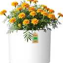 10 Inch Round Plastic Plant Pot with Drainage Holes and Saucer, Wide Flower Pots for Indoor & Outdoor Plants 7.9" Tall Modern Cylinder Planter Pot for House Plants and Home Decorative, Matte White