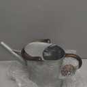 Megawodar 1 Gallon Metal Watering Can with Removable Spout, Nice Galvanized Steel Water Can with Embossed Design for Indoor and Outdoor Plants