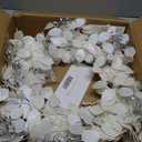 National Tree Company Artificial Christmas Wreath, White, Winter Frost, 24 inch
