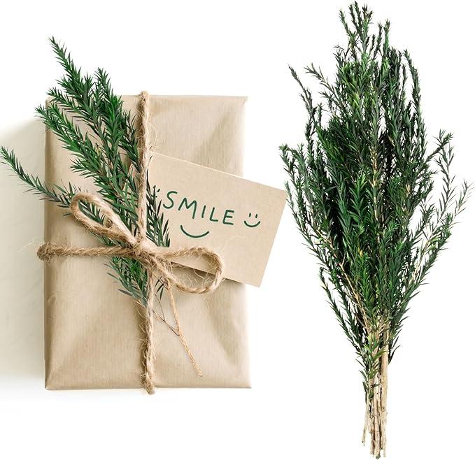 Dried Greenery Stem Decor