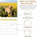 3 x 2026 Calendar, Wall Calendar 2026, Dogs 12 Month Wall Calendars (Jan - Dec 2026) 12" x 24" Opened, Hanging Monthly Calendar Thick Paper for Kids Family Adults Office Home