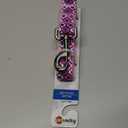Petmate Geo Leash, 1" x 6', Purple