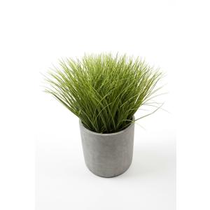 Summer Lifestyle Greenery Decorative Plant, 8"