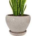 Deep Dream 10 Inch Plant Pot- Ceramic Planter Pot Round Plant Pots for Indoor Plants Outdoor Large Flower Pot with Drainage Holes & Trays, Brushed Green