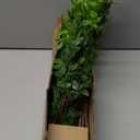 Fake Plants Eucalyptus Stems,Plastics Ficus Stems for Vase Artificial Plants,Greenery Stems Branches for Vase Faux Plants Indoor,Faux Greenery Indoor Vase Fillers for Home Decor 4Pcs Green