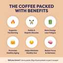 Javvy Protein Iced Coffee - Premium Whey Protein & Iced Coffees, 100% Natural Cold Brew, Zero Artificial Flavors & Sweeteners, 80mg Caffeine, No Added Sugar, 20 Servings, Brownie Batter, 1 Pack (EXP 08/06/26)