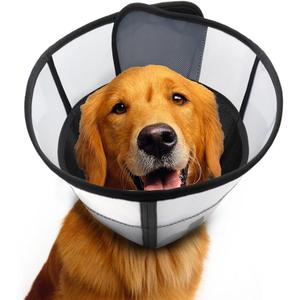 WinWeal Soft Dog Cone Collar for Dogs After Surgery, Transparent Breathable Pet Recovery Collar for Large Medium Dogs, Adjustable Dog Cone Collar, Elizabethan Collar (XL, Blue)