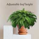 Artificial Ferns Fake Ferns Plant Artificial Ferns for Office FarmhousesGarden Indoor and Outdoor Decorations