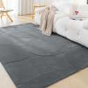 Amazon Basics Indoor Area Rugs, Soft-Touch Washable Home Decor Carpet for Living Room Bedroom, 6' L × 4' W, Curve Dark Grey