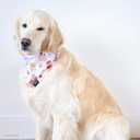 3 x ZippyPaws LINE Friends Dog Bandanas - Cute Summer Dog Stuff, Puppy & Dog Accessories, Dog Birthday Pink Bandana for Girl & Boy - Brown's Petit Sweets