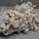 3 Pcs Faux Flowers for Vase Artificial Floral Stems White Fake Forsythia Flower with Long Stem 42.5" Silk Flowers Branches for Tall Vase Floral Arrangements Harvest Festival Winter Fall Decor